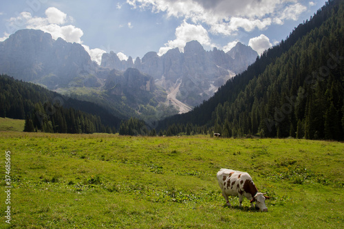 DOLOMITES LANDSCAPE 