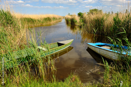 Am Neusiedler See  bei Mörbisch am See, Burgenland, Österreich