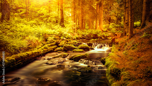 Wildfluss in herbstlichem Wald