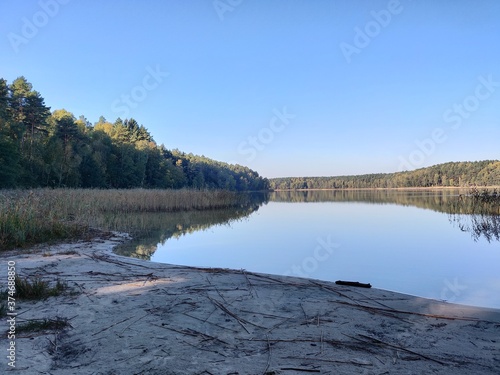 lake in the forest