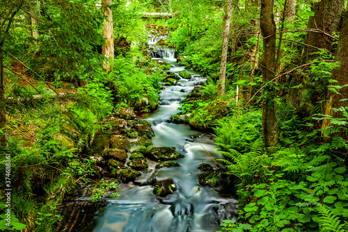 Wildbach im Bayerischen Wald