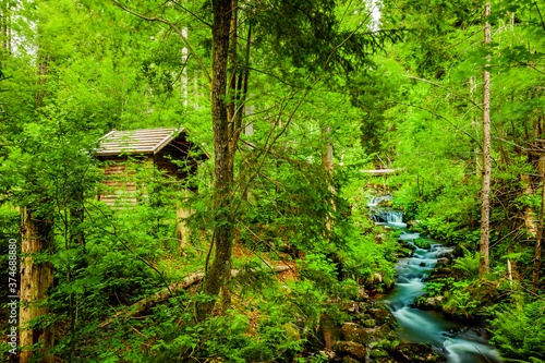 Wildbach im Bayerischen Wald