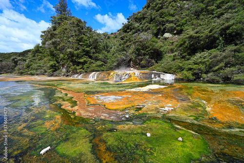 Waimangu Volcanic Rift Valley is the hydrothermal system, New Zealand.