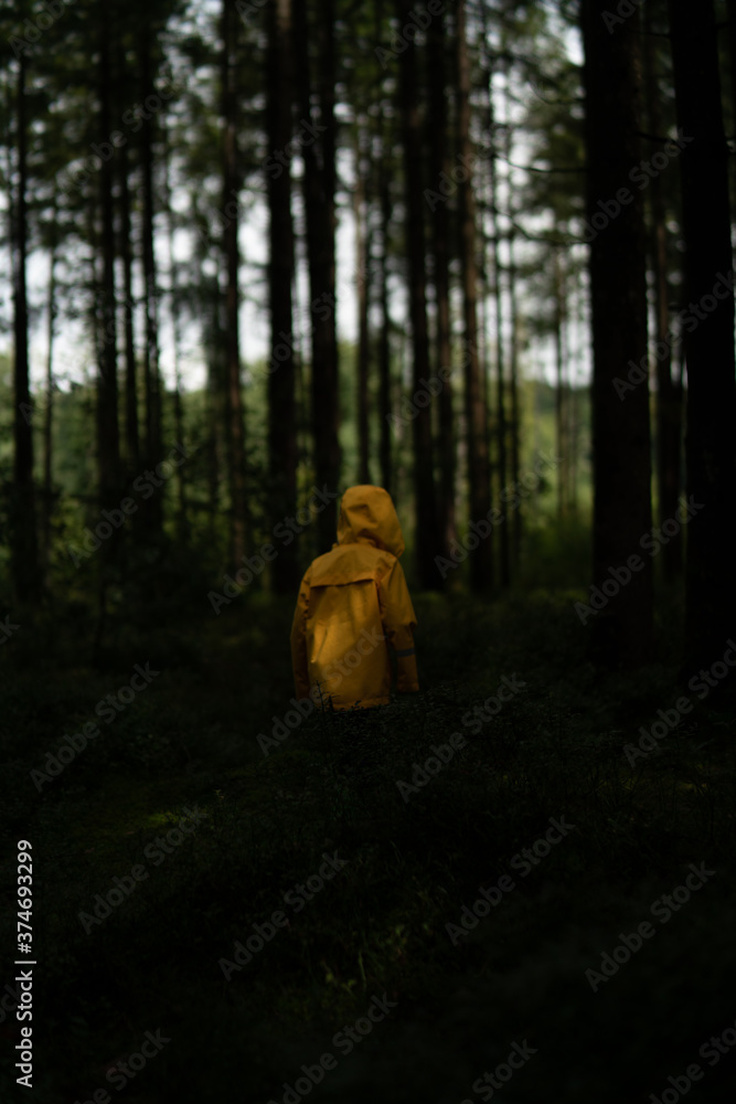 Litte boy plays in the woods with a yellow jacket Litte boy plays in the woods with a yellow jacket
