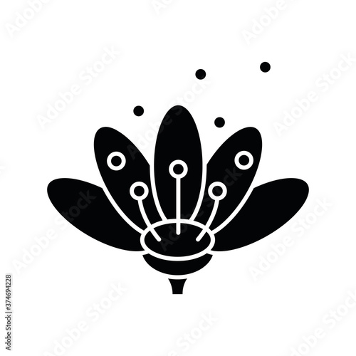 Pollen black glyph icon. Natural flowers reproduction. Pollination process, seasonal allergy, beekeeping silhouette symbol on white space. Blooming flower bud in blossom vector isolated illustration