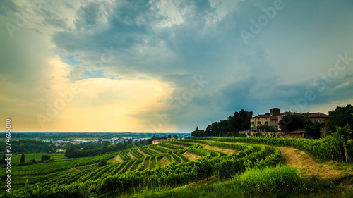 Fototapeta Naklejka Na Ścianę i Meble -  Storm over the vineyard