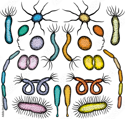 Vector drawing of set various drawn colorful bacterias