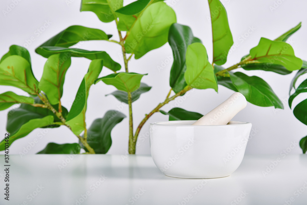 Natural drug research, Plant extraction in mortar, Alternative green herb medicine, Natural organic skincare beauty products, Laboratory and development concept. Natural drug research, Plant extraction in mortar, Alternative green herb medicine, Natural organic skincare beauty products, Laboratory and development concept.