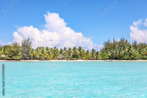 Bora Bora French Polynesia Island Paradise Beach Palm Trees © Sarah