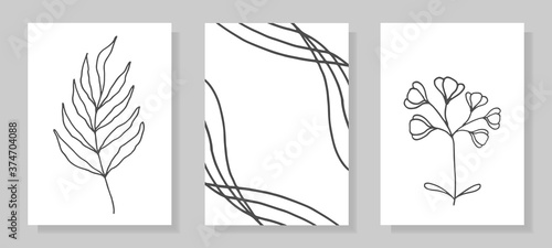Set of black and white mysterious tropical plants and abstract leaves in line art style, hand drawn. Suitable for postcards, posters, stories on social networks. © Svetlana