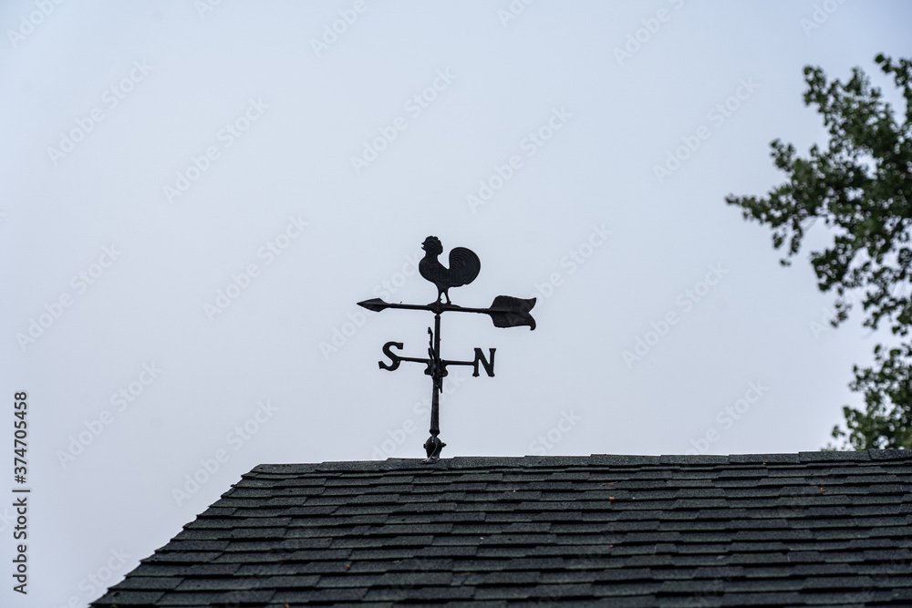 Rooster Weather Vane