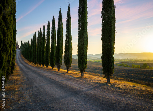 Perfect Road/Avenue through cypress trees towards house - ideal Tuscan landscape