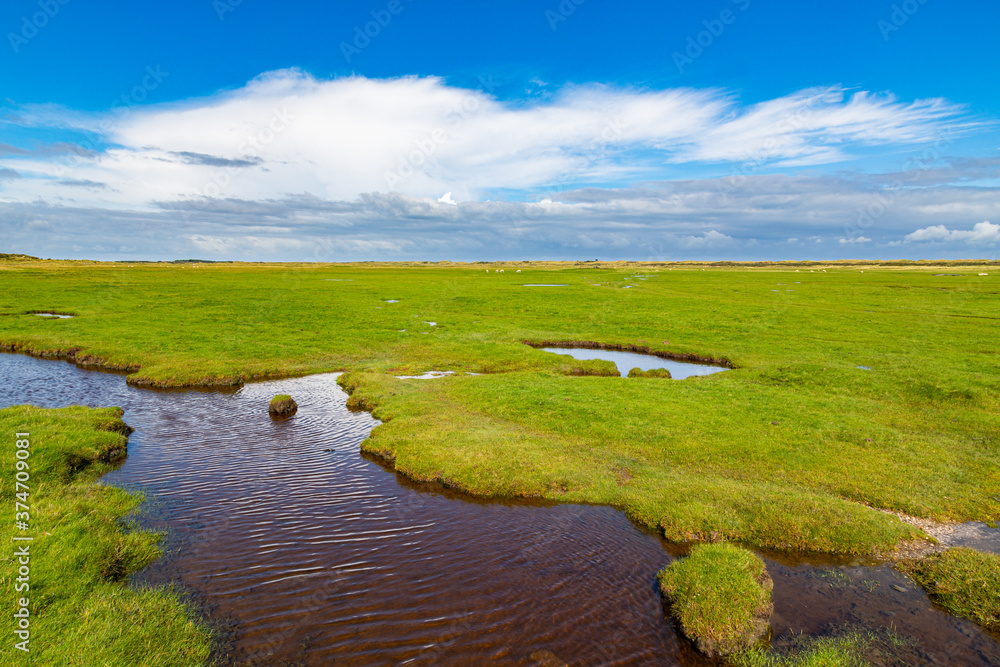 Rural landscape of a meadow with grass on a island in the North Sea, Holland