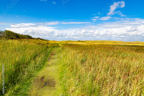 Rural landscape of a meadow with grass on a island in the North Sea, Holland