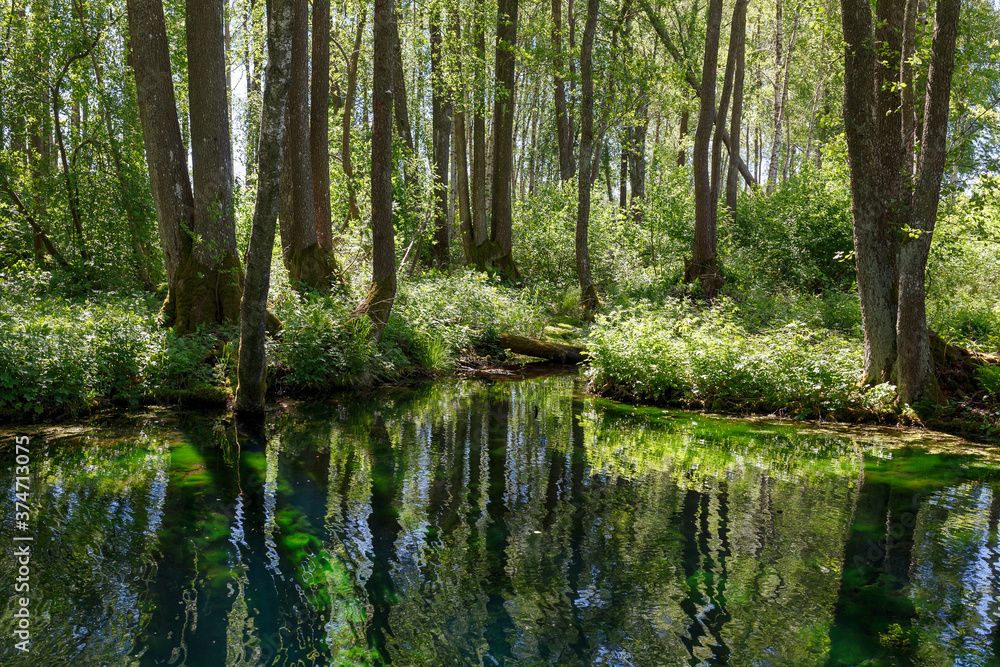 Emerald colored freshwater springs. Puhatu allikad (Sacred springs), Saaremaa, Estonia. Emerald colored freshwater springs. Puhatu allikad (Sacred springs), Saaremaa, Estonia.