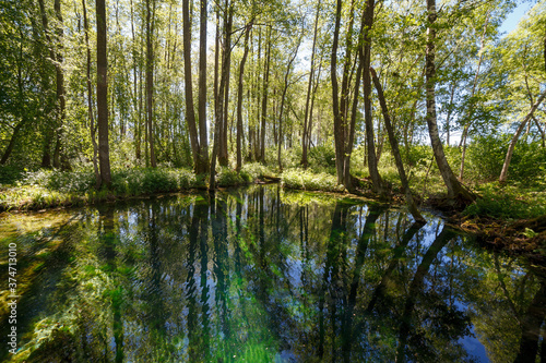 Emerald colored freshwater springs. Puhatu allikad  Sacred springs   Saaremaa  Estonia.