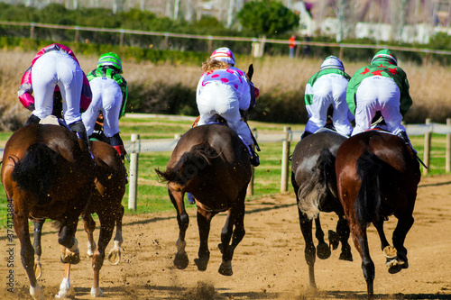 Horses race