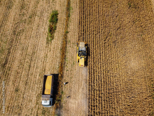 Corn Harvest Harvester with Truck