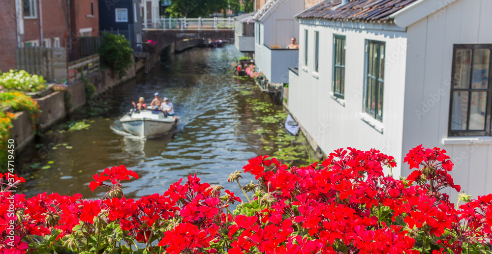 Panorama of red flowers on the bridge over the Damsterdiep river in Appingedam, Netherlands