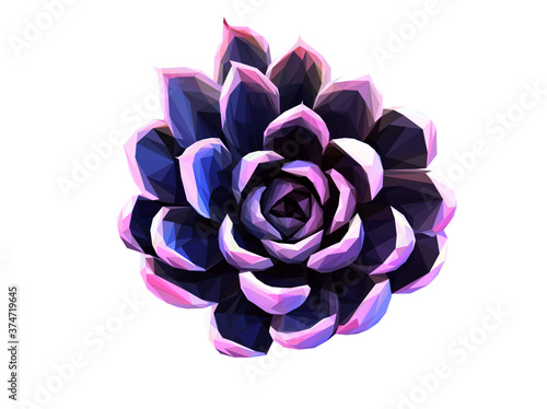 Low poly illustration of a red/purple succulent
