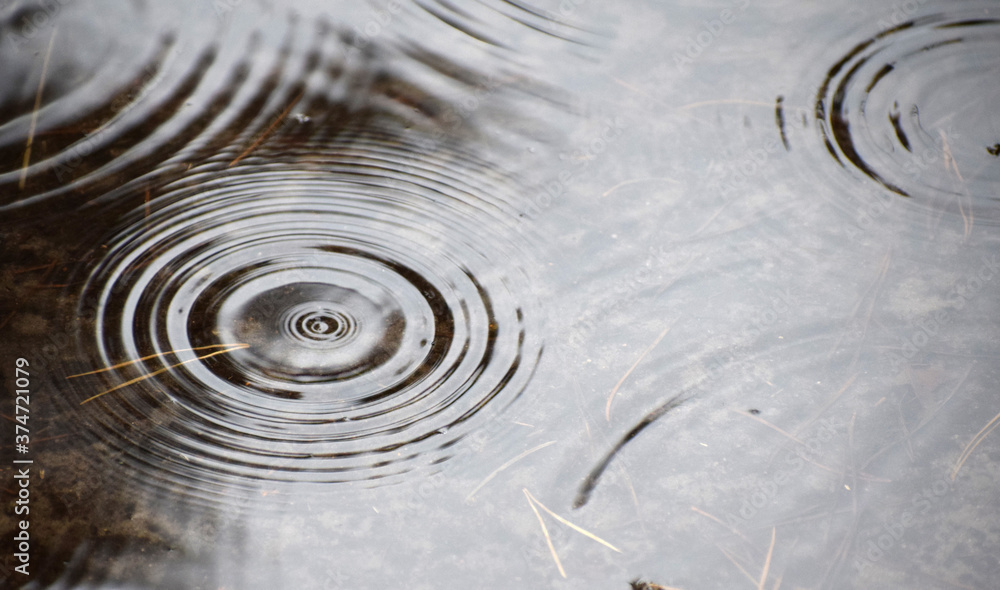 weather, puddle, drop, raindrops, background, liquid, raindrop, water, wet, nature, surface, reflection, rain, dark, splash, sky, circle, storm, textured, autumn, closeup, urban, outdoor, climate, asp weather, puddle, drop, raindrops, background, liquid, raindrop, water, wet, nature, surface, reflection, rain, dark, splash, sky, circle, storm, textured, autumn, closeup, urban, outdoor, climate, asp
