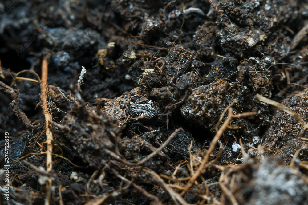 The surface of the soil rich in minerals for planting. Background in soft focus at high magnification, showing small clumps of soil and plant nutrient. The surface of the soil rich in minerals for planting. Background in soft focus at high magnification, showing small clumps of soil and plant nutrient.