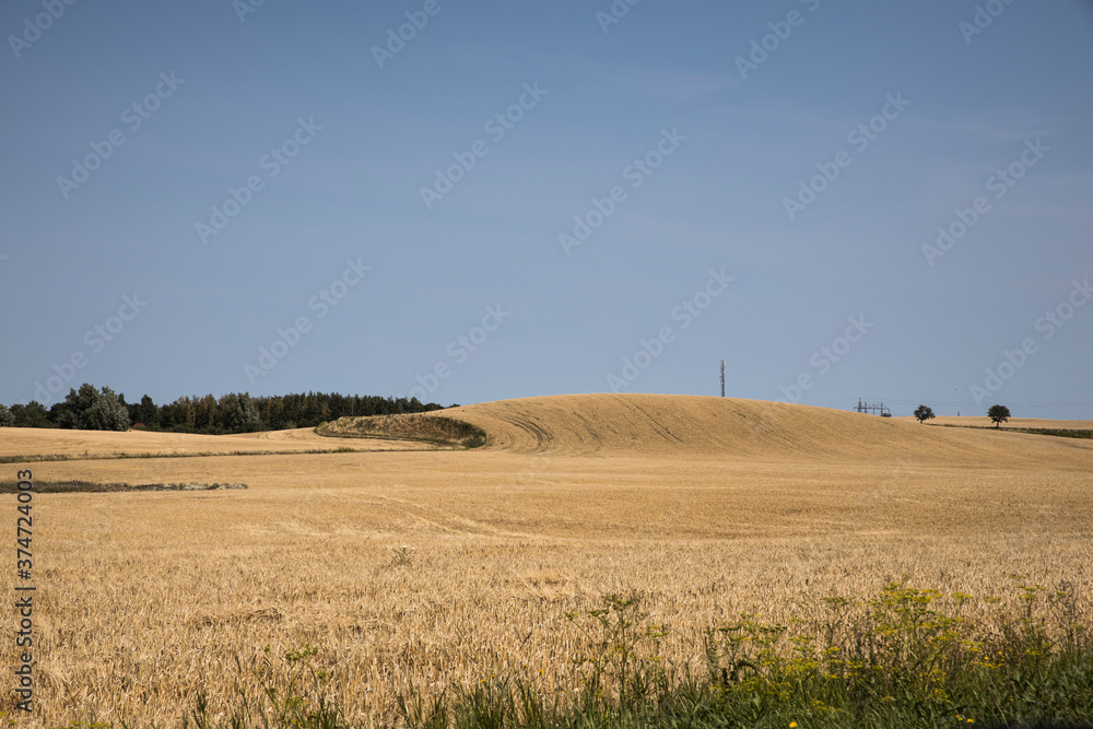 Scanian landscapes in late summer