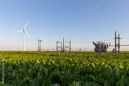 Clean power  and renewable energy - wind turbine generators near the transformer substation in the green beet field