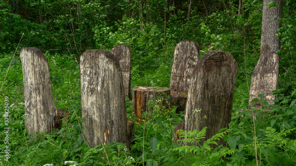 Chairs for relaxing in the forest. Chair table set. Wooden chairs in the forest Chairs for relaxing in the forest. Chair table set. Wooden chairs in the forest