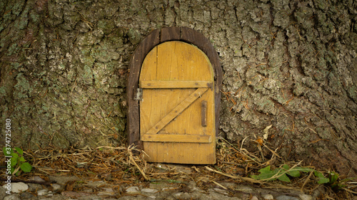 Little wooden fairy tale door in a tree trunk. fairytale forest house. Little rustic wooden fairy door in tree trunk