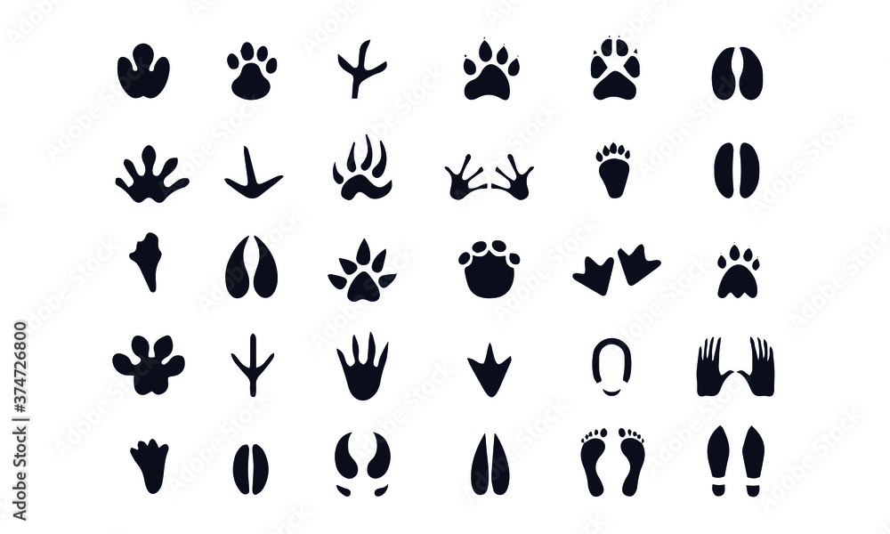  footprints icons vector design 