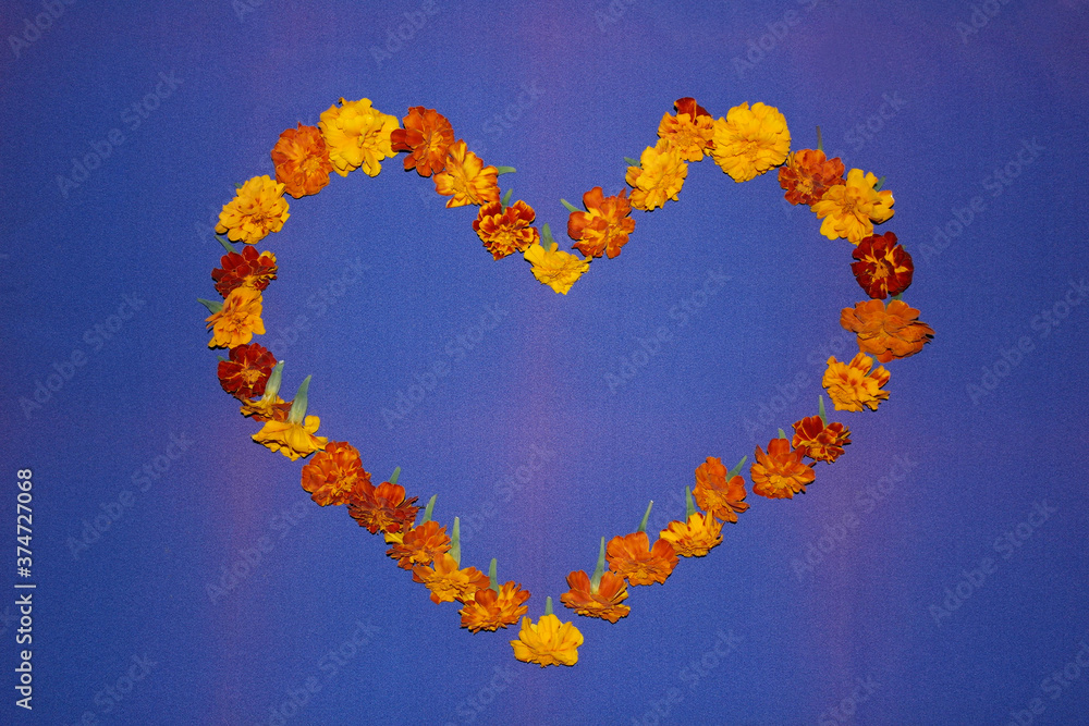 Fototapeta premium Heart of yellow, orange marigolds on a blue background. Valentine's day.