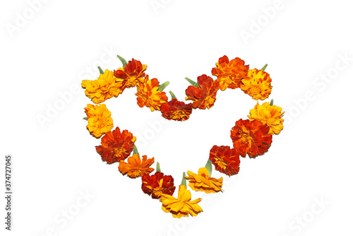 Heart of yellow and orange marigold flowers on a white background. Valentine's day. 