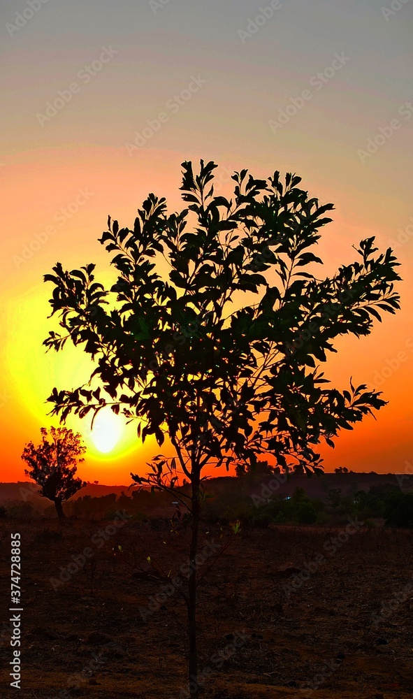Naklejka premium sunset