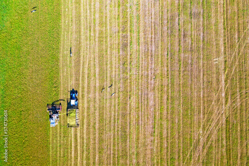 Aerial drone view with beautiful autumn landscape of working tractor and combine harverster on the harvest field. Agriculture concept.