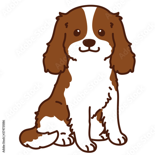 Outlined Brown Cavalier King Charles Spaniel Sitting