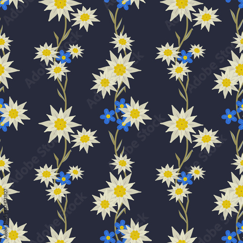 Floral hand drawn seamless pattern with edelweiss