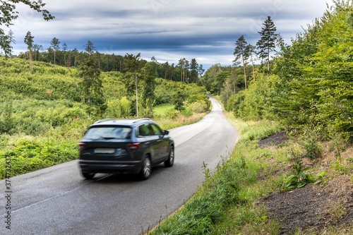Asphalt road through green forest, trees, pines, spruces. Asphalt road curve pass through the green forest tree. Forest road in the Czech Republic.