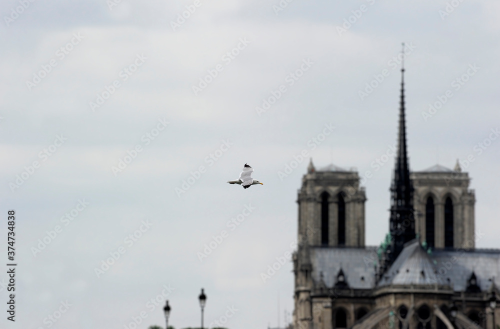 Notre Dame de Paris, Sena, Notre Dame before the fire / Notre Dame de Paris, Seine, Notre Dame antes del incendio Notre Dame de Paris, Sena, Notre Dame before the fire / Notre Dame de Paris, Seine, Notre Dame antes del incendio
