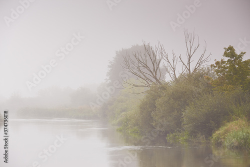 Obraz na płótnie Autumn weather. Overcast rainy dawn. Haze and mist over water. Fog over river w salonie
