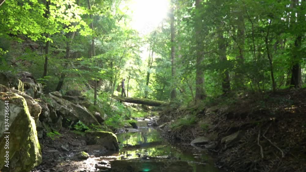 Mann läuft über Baumstamm am Erlenbach auf Höhe der Lochmühle Mann läuft über Baumstamm am Erlenbach auf Höhe der Lochmühle