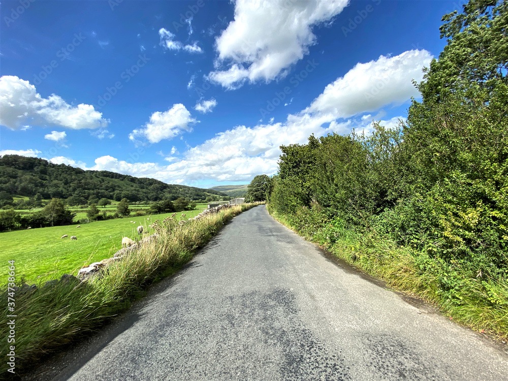 Country road, leading to Buckden, with fields, wild plants, sheep and trees near, Starbotton, Skipton, UK