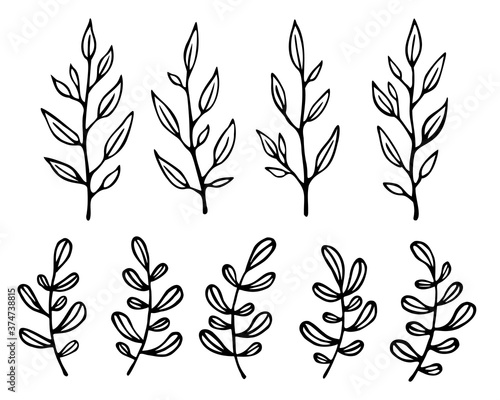 Set of vector hand drawn small branches. Black elements isolated on white background