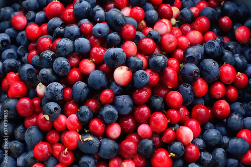Ripe cranberries and blueberries close-up. Natural background