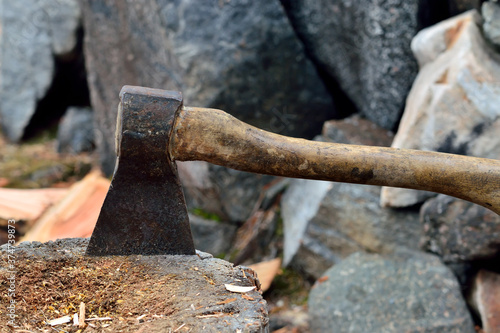 Old camping ax stuck into a tree stump