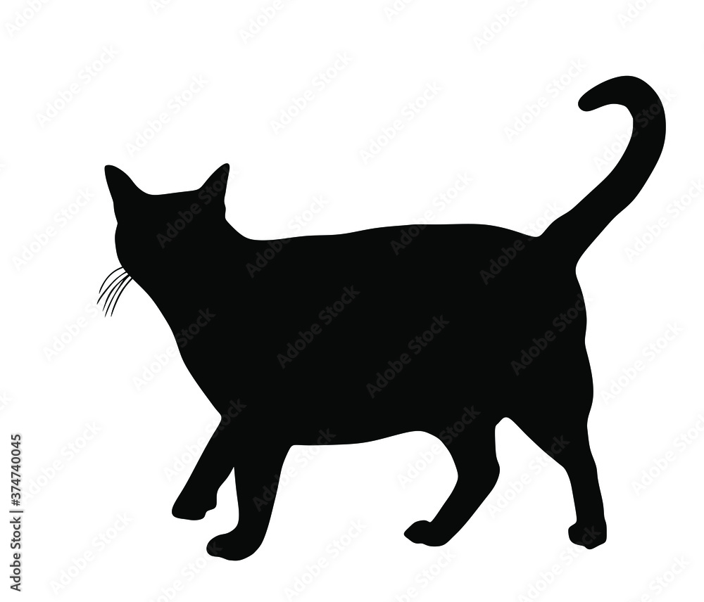Domestic cat walking vector silhouette illustration isolated on white background. Lovely kitty pet symbol.