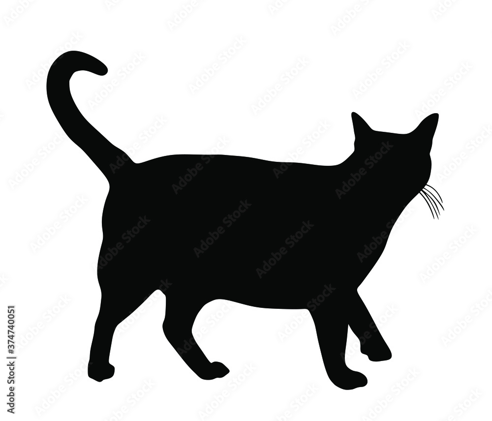 Domestic black cat walking vector silhouette illustration isolated on white background. Lovely kitty pet symbol.