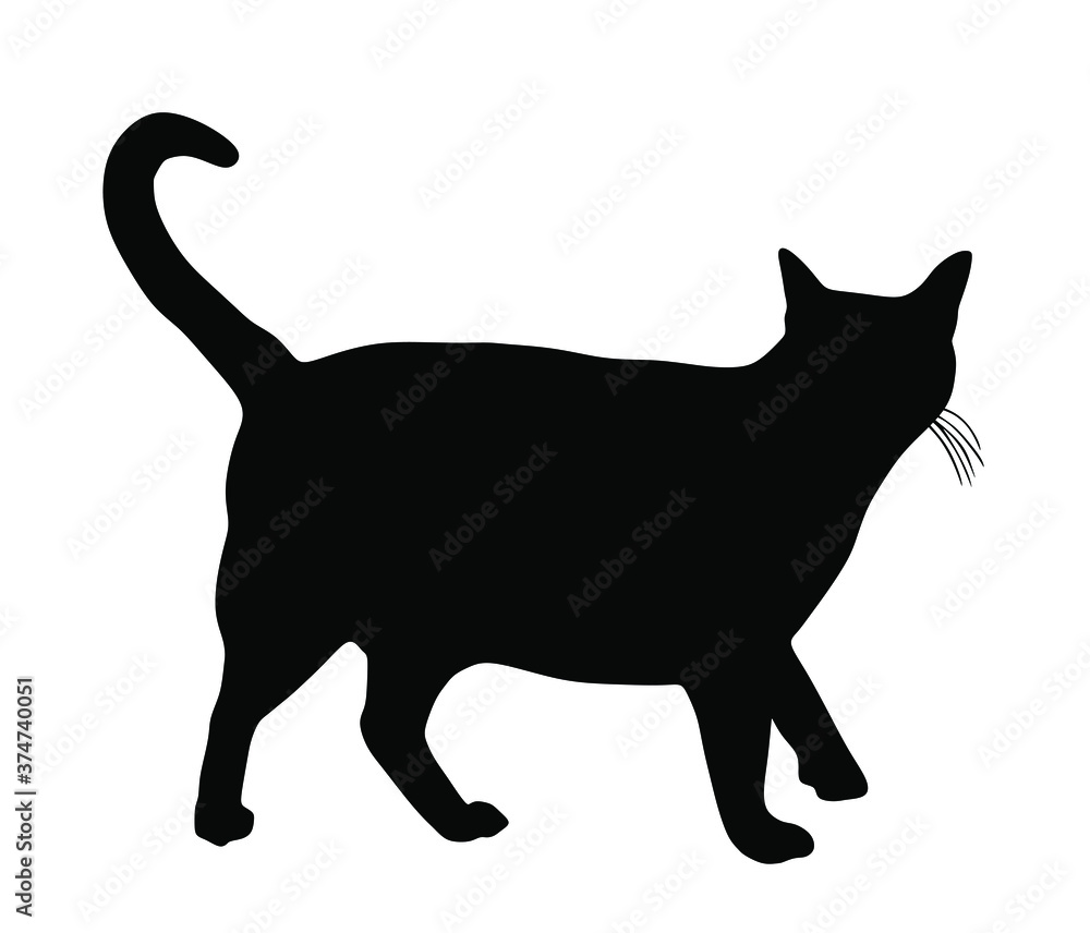 Domestic black cat walking vector silhouette illustration isolated on white background. Lovely kitty pet symbol. Domestic black cat walking vector silhouette illustration isolated on white background. Lovely kitty pet symbol.