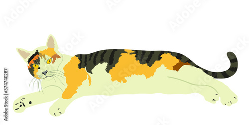 Cute calico cat lay on ground vector illustration isolated on white background. Lovely pet. Kitty lay down on floor.