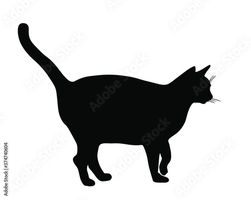 Domestic cat walking vector silhouette illustration isolated on white background. Lovely kitty pet symbol.